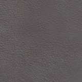 Alice Leather Sectional, Fossil Gray