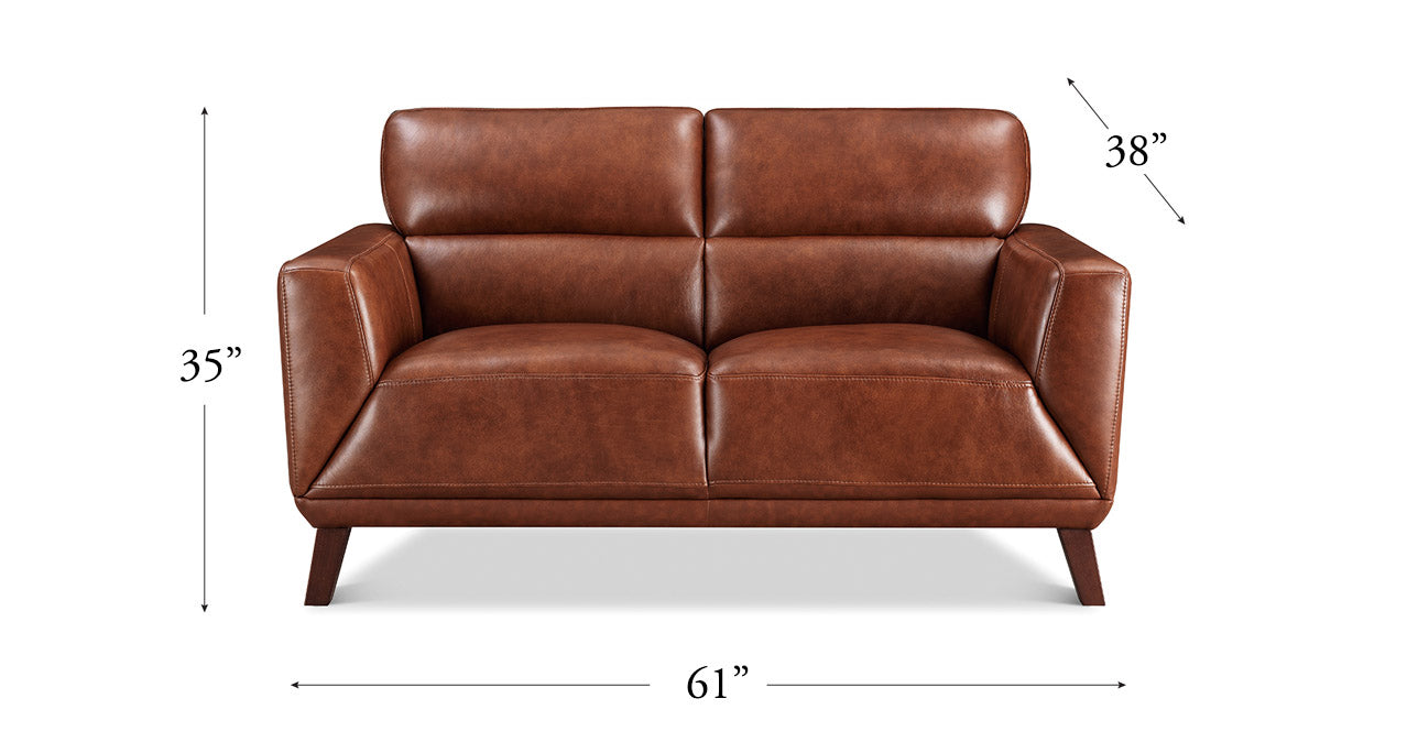 Jake Leather Sofa Collection