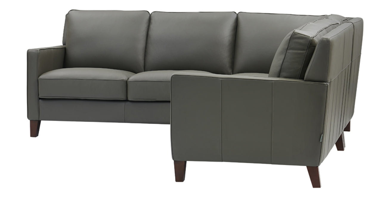 Ashby Leather Sectional Collection