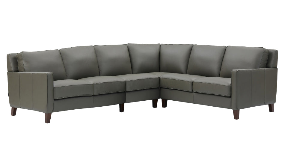 Ashby Leather Sectional Collection