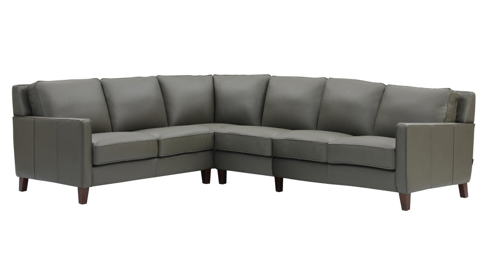Ashby Leather Sectional Collection