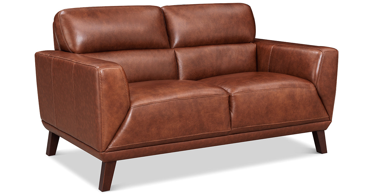 Jake Leather Sofa Collection