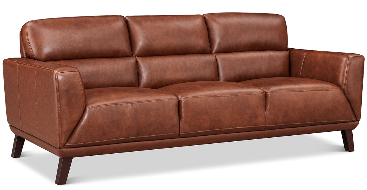 Jake Leather Sofa Collection