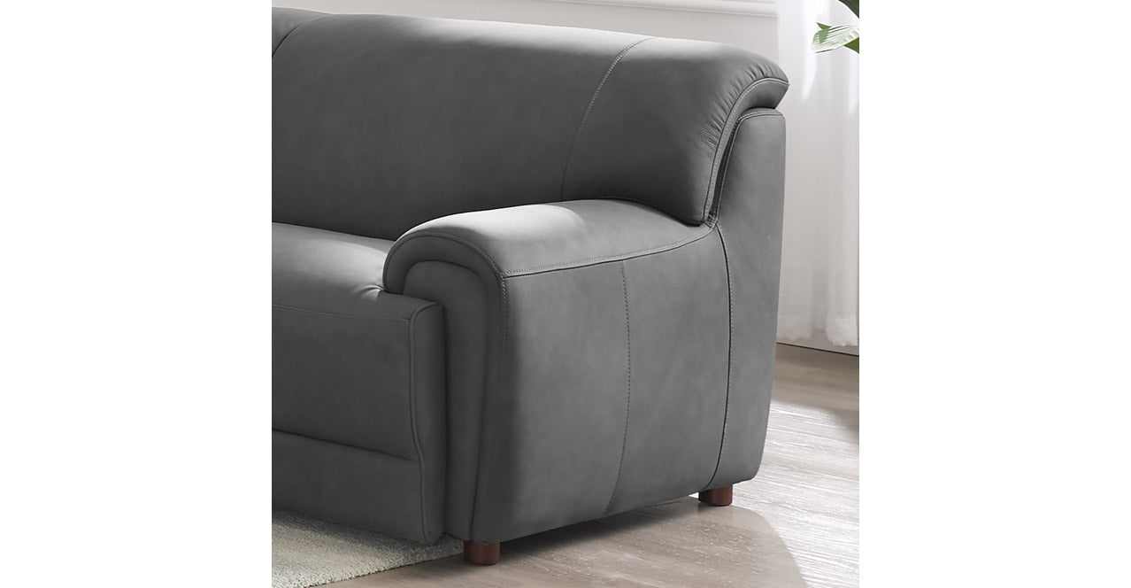 Polo Leather Sectional Collection