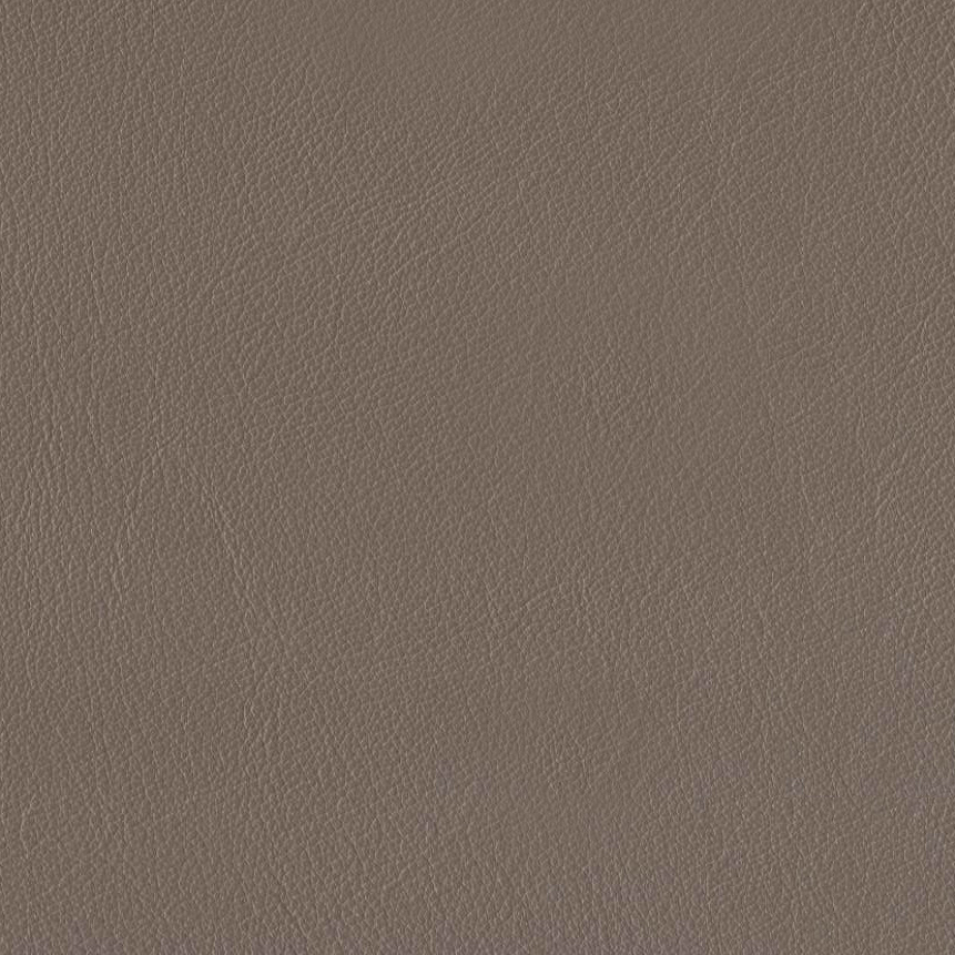 Ersa Leather Sofa Collection, Taupe Brown