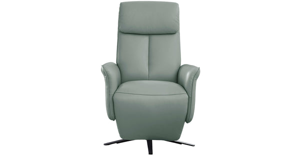 Flair Leather Power Recliner
