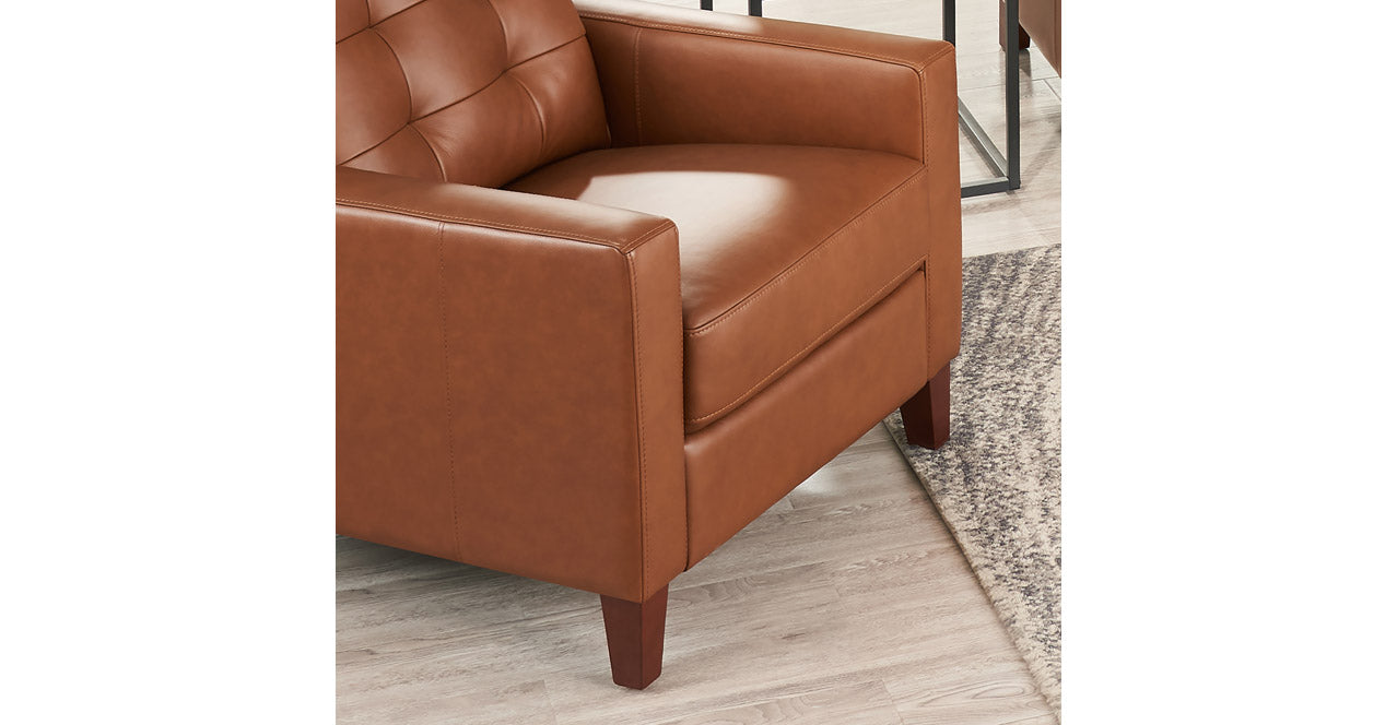 Aiden Leather Sofa Collection
